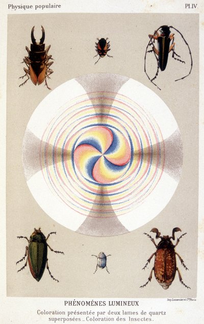 Colorazione presentata da due lame di quarzo sovrapposte, colorazione di insetti - in "La fisica popolare" di Emile Desbeaux da Unknown artist