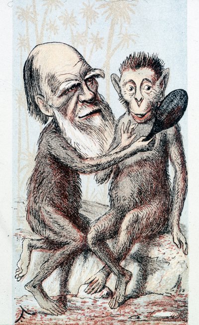 Disegno comico sulla teoria di Darwin - in "London Sketchbook" da Unknown artist