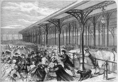 Concorso degli oxen grassi al Mercato de la Villette a Parigi. Incisione in 