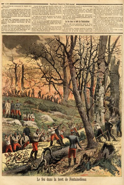Incendio doloso nella foresta di Fontainebleau. Incisione in "Le petit journal" 22/04/1893. Collezione Selva da Unknown artist