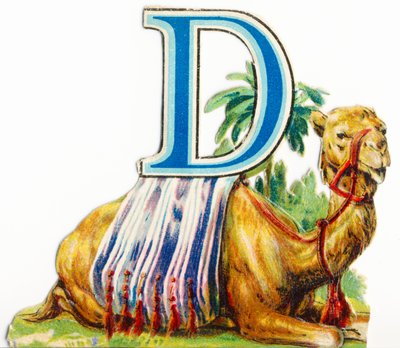 D: Dromedario da Unknown artist