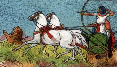Vita quotidiana nell