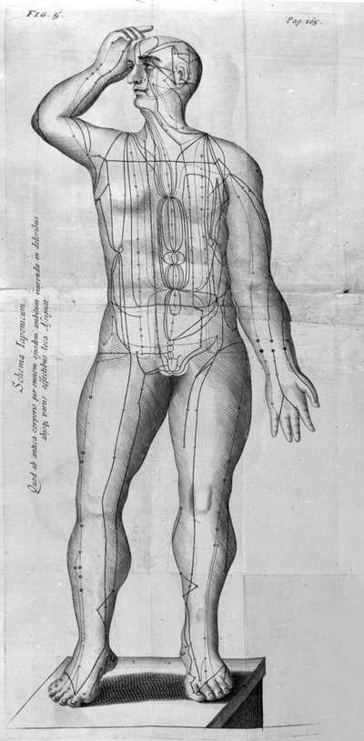 De Acupunctura di W. Ten Rhijne. Londra 1683. Primo testo occidentale sull