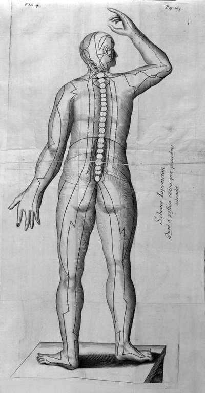 De Acupunctura di W. Ten Rhijne. Londra 1683. Primo testo occidentale sull
