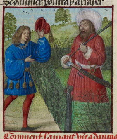 (dettaglio) L