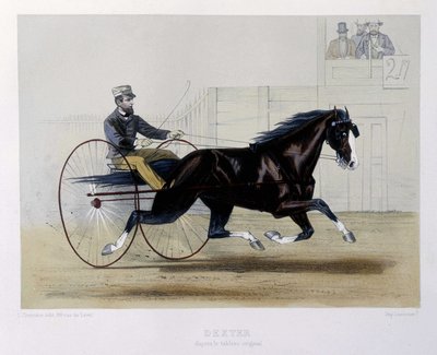 Dexter trottatore - in "Il Centauro" da Unknown artist