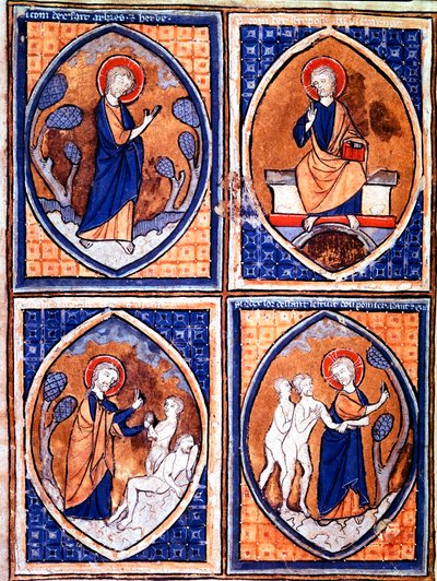 Diversi stadi della Creazione del Mondo rappresentati in mandorle da Unknown artist