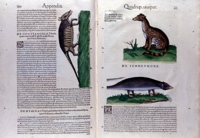 Doppia pagina dell