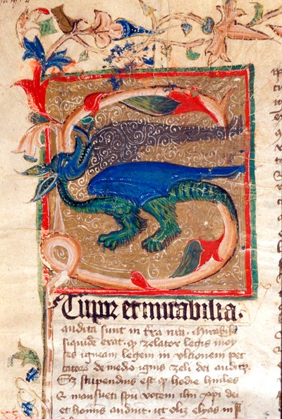 Drago decorato Lettrine (dettaglio) di un manoscritto del XIV secolo da Unknown artist