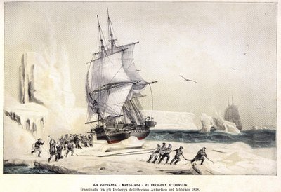 Corvetta di Dumont d