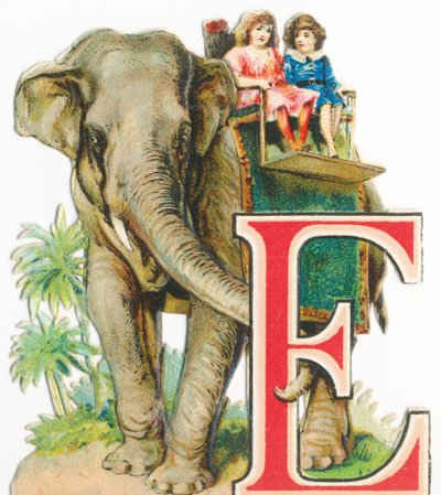 E: Elefante da Unknown artist