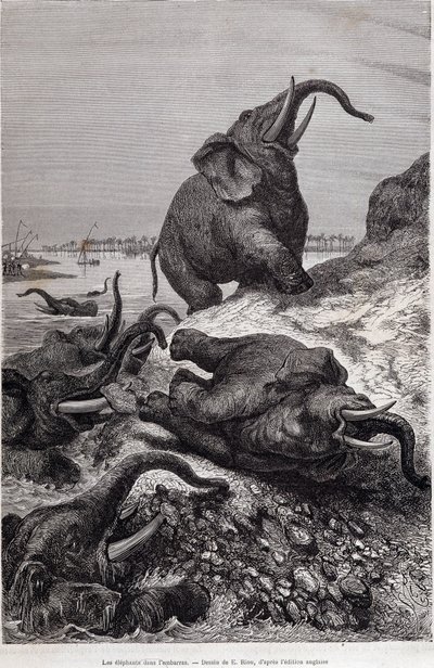 Elefanti che scalano la riva di un fiume, nel racconto di una spedizione in Africa Centrale commissionata da Sir Samuel White Baker, "Il giro del mondo" da Unknown artist
