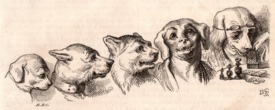 Evoluzione di un cane in forma umana da Unknown