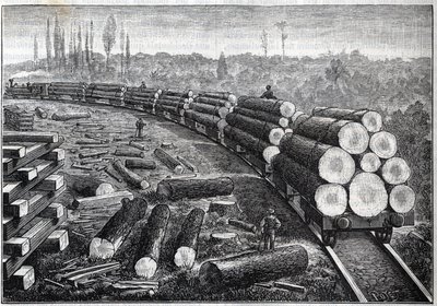 Sfruttamento delle foreste degli Stati Uniti. Ferrovie temporanee con binari in legno. Vagoni che trasportano tronchi d