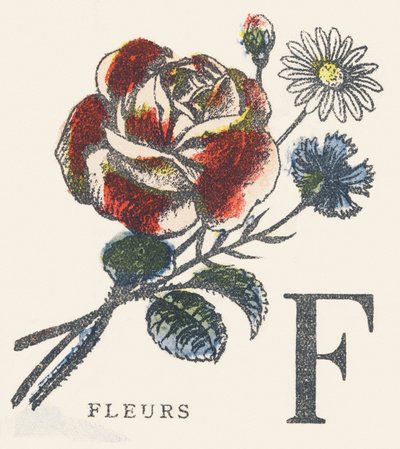 Fiori da Unknown artist