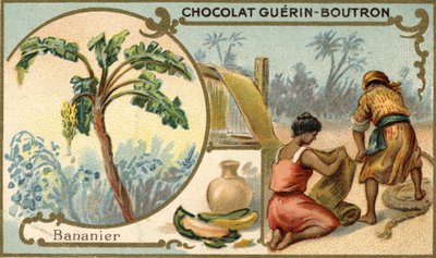 Tessuto realizzato con la fibra delle bucce di banana. Cromolitografia, confezione di cioccolatini Guérin Boutron da Unknown artist