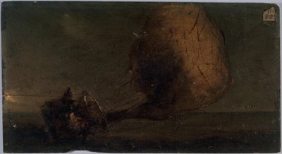 Aerostato in caduta, 1860 circa (olio su tavola) da Unknown artist