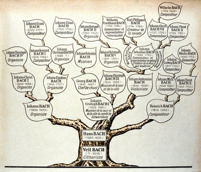 Albero genealogico della famiglia Bach da Unknown artist