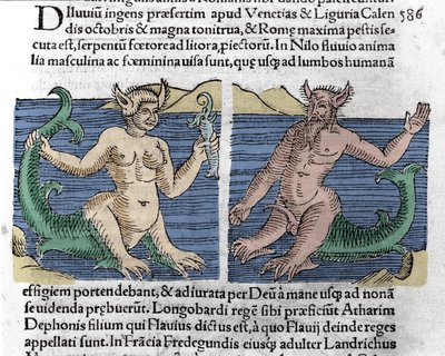 Creature fantastiche: un tritone e una sirena visti nel Nilo. Incisione da 