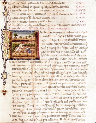 Contadini che piantano vigneti da Unknown artist