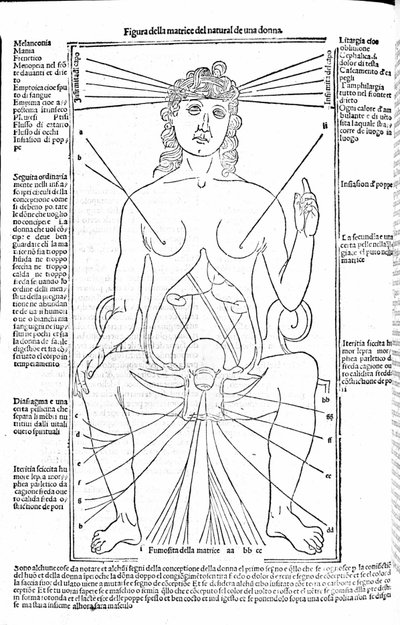 Apparato riproduttivo femminile - nel Trattato di Medicina di Gerolamo Cardano, Firenze 1585. da Unknown artist