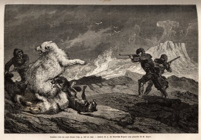 Lotta con un orso polare che protegge il suo cucciolo, il branco di cani la assale e i cacciatori, armati di fucili, aspettano il momento giusto per sparare. Incisione per illustrare il viaggio al mare libero del polo artico, del Dottor Hayes, chirurgo del da Unknown artist