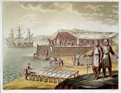 Pesca e essiccazione del merluzzo a Terranova. (incisione) da Unknown artist