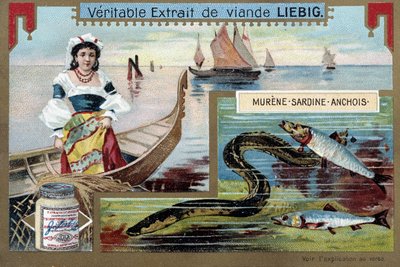 Barche da pesca e pesci (murena, sardina, acciuga) da Unknown artist