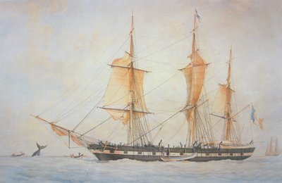 Nave baleniera francese, c.1845 da Unknown artist