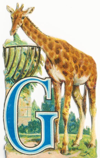G: giraffa da Unknown artist