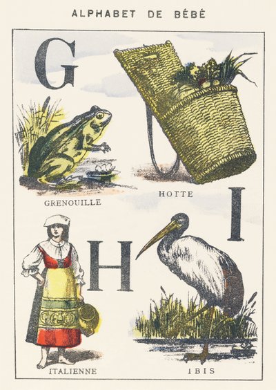 G H I: rana, cappuccio, italiano, ibis da Unknown artist