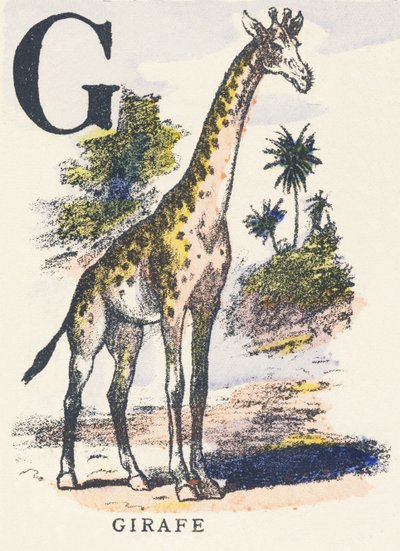 G: giraffa da Unknown artist