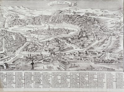 Veduta generale della città di Vienna con dettaglio dei principali edifici e monumenti. Austria Incisione del 1800 Collezione privata da Unknown artist