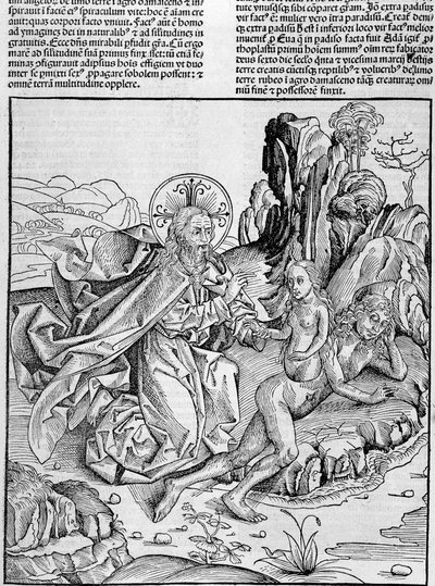 Dio dà vita a Eva dalla coscia di Adamo - in "Cronache di Norimberga" da Unknown artist