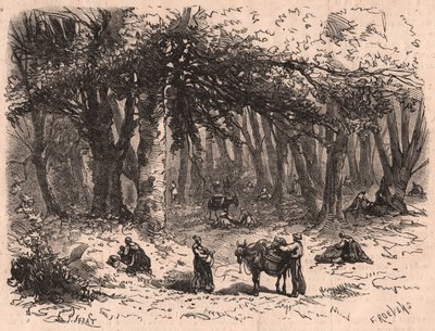 Gruppo di persone che raccolgono funghi nella foresta di Fontainebleau da Unknown