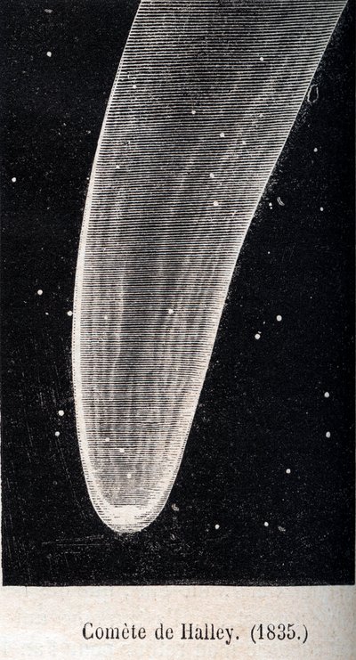 Cometa di Halley 1835 - incisione intorno al 1867 da Unknown artist
