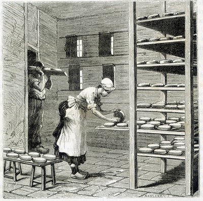 Haloir (o essiccatore) per la fabbricazione del formaggio camembert - in 