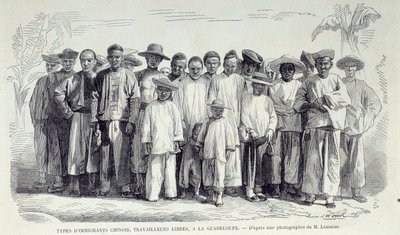 Storia delle colonie francesi: immigrati cinesi che lavorano in Guadalupa. Disegno da fotografia della fine del XIX secolo da Unknown artist