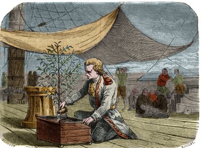 Storia del caffè: Capitano Gabriel de Clieu (1687/1678- circa 1774), incaricato dal re Luigi XIV nel 1725 di portare a Martinica una pianta di caffè, condivide con essa la sua razione d