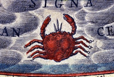 Oroscopo: segno zodiacale, il Cancro. Incisione del XVI secolo da Unknown artist