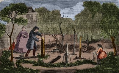 Orticoltura: principali metodi di trapianto delle piante. Incisione del 1860 da Unknown artist
