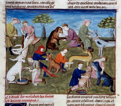 Come curare i cani da caccia per malattie e ferite da Unknown artist
