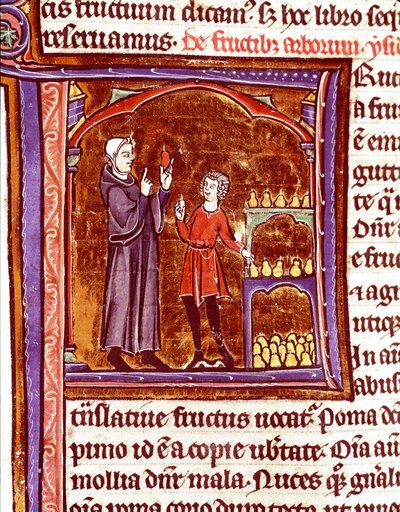 Come conservare le pere Miniatura dal manoscritto "Speculum historiale" (Le Miroir historial) di Vincenzo di Beauvais (1184/94-1264) 13° secolo Laon, biblioteca municipale da Unknown artist