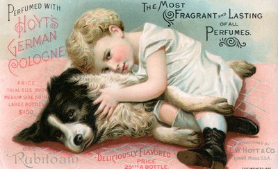 Illustrazione di Hoyt