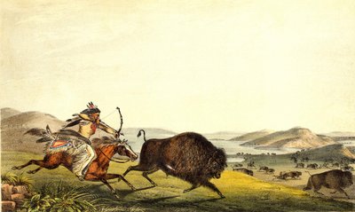 Caccia al bisonte in Nord America. XIX secolo. da Unknown artist