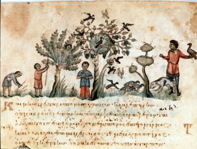 Scena di caccia con falchi e raccolta di frutti. Miniatura tratta dal trattato di caccia La Caccia di Oppiano di Siria (III secolo d.C.) dedicato a Caracalla. XI secolo Venezia, Biblioteca Marciana da Unknown artist
