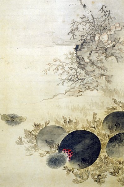 Hwajodo da Unknown artist