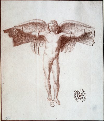 Icaro - disegno a sanguigna da Unknown artist