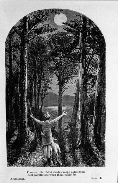 Illustrazione per "Endymion" del poeta John Keats (1795-1821) XIX secolo da Unknown artist