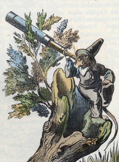 Illustrazione del racconto "Il terribile Raminagrobis e i topi". In "Racconti dalla casa per i piccoli". Incisione anonima del XIX secolo. da Unknown artist